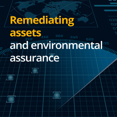 Remediating assets and environmental assurance